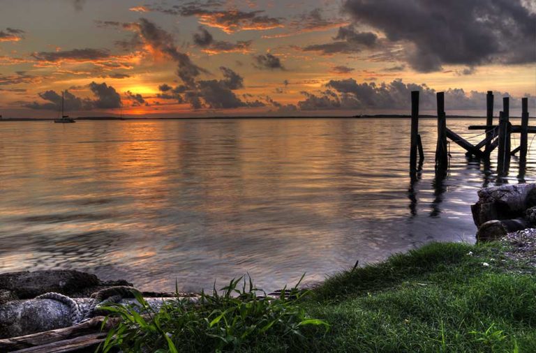 The 8 BEST Beaches in Amelia Island, Florida