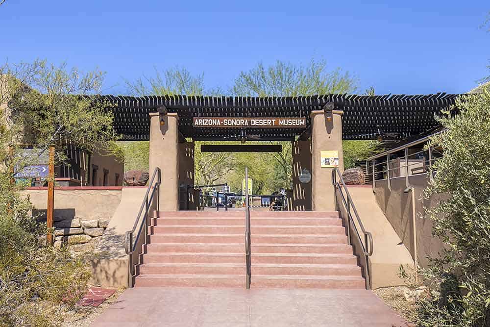 Arizona-Sonora Desert Museum