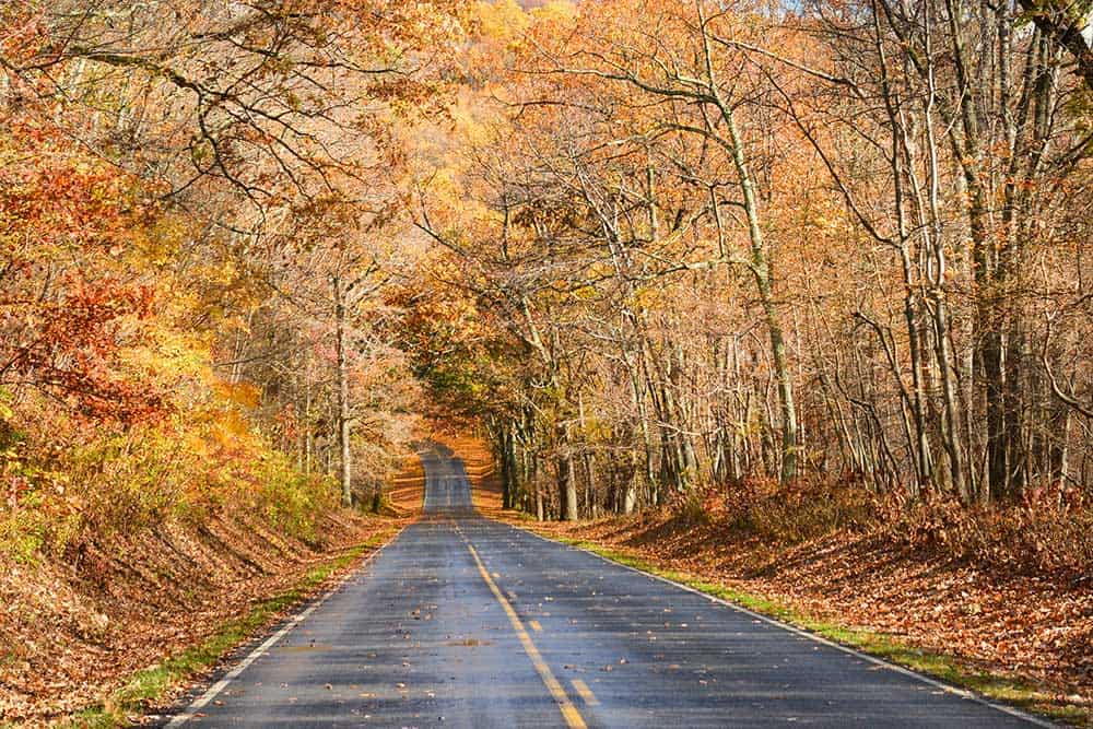Autumn in Shenandoah National Park