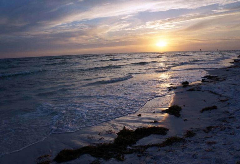 Best Beaches in Clearwater & St. Petersburg