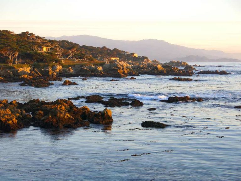 Best Beaches in Monterey, CA