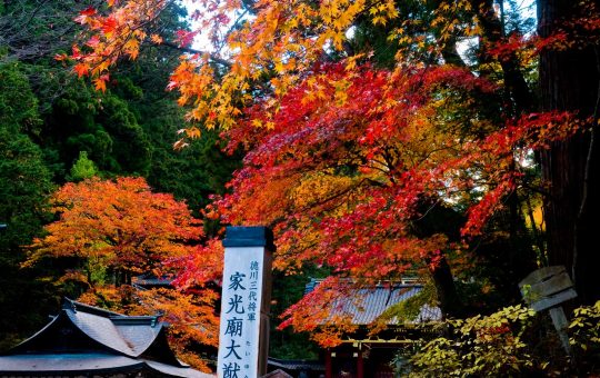 Best Day Trips from Tokyo