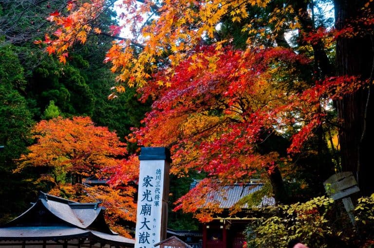 Best Day Trips from Tokyo, Japan