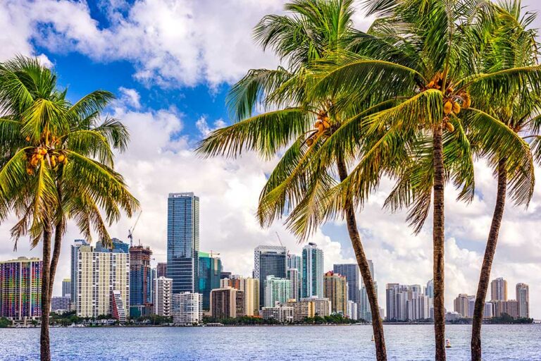 Best Time to Visit Miami, Florida