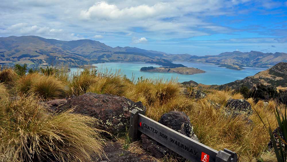 BEST Hikes & Walks in Christchurch Top Hiking Trails & Walking Tracks