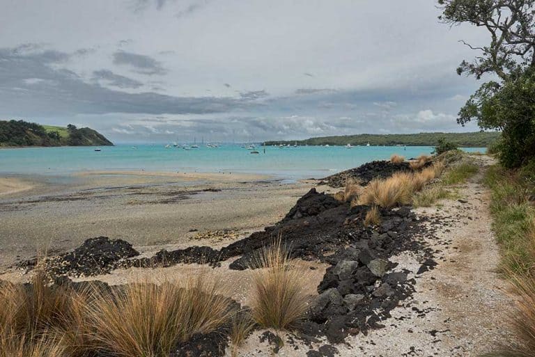 Day Trips from Auckland