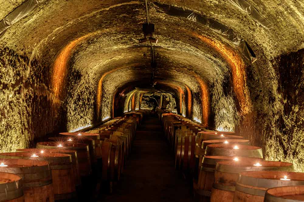 Del Dotto Historic Winery & Caves