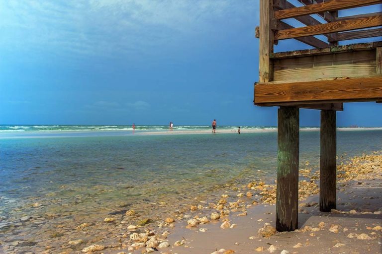 Honeymoon Island State Park What To See & Do And How To Get There