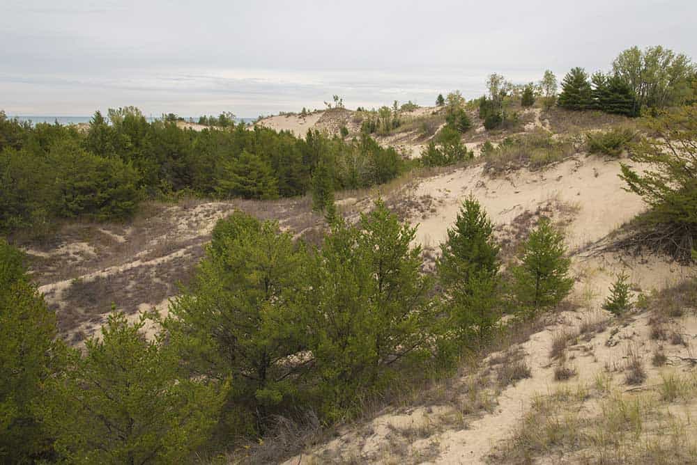 Indiana Dunes National Park, IN