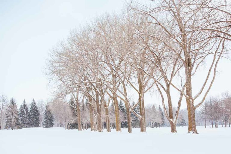 The 17+ BEST Things to Do in Fargo, North Dakota