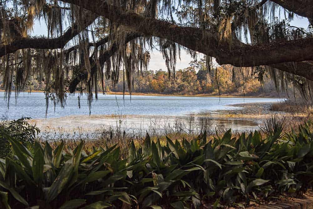 Lake Overstreet in Alfred B. Maclay Gardens State Park