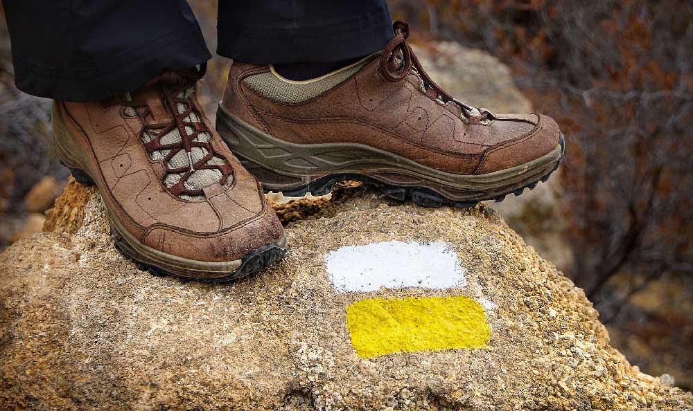 Leather Hiking Shoes