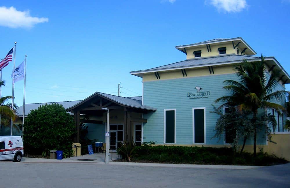 Loggerhead Marinelife Center