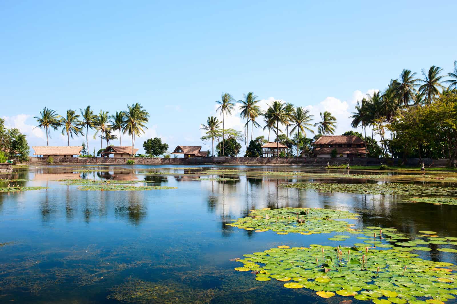 Lotus Lagoon in Candidasa, Bali, Indonesia