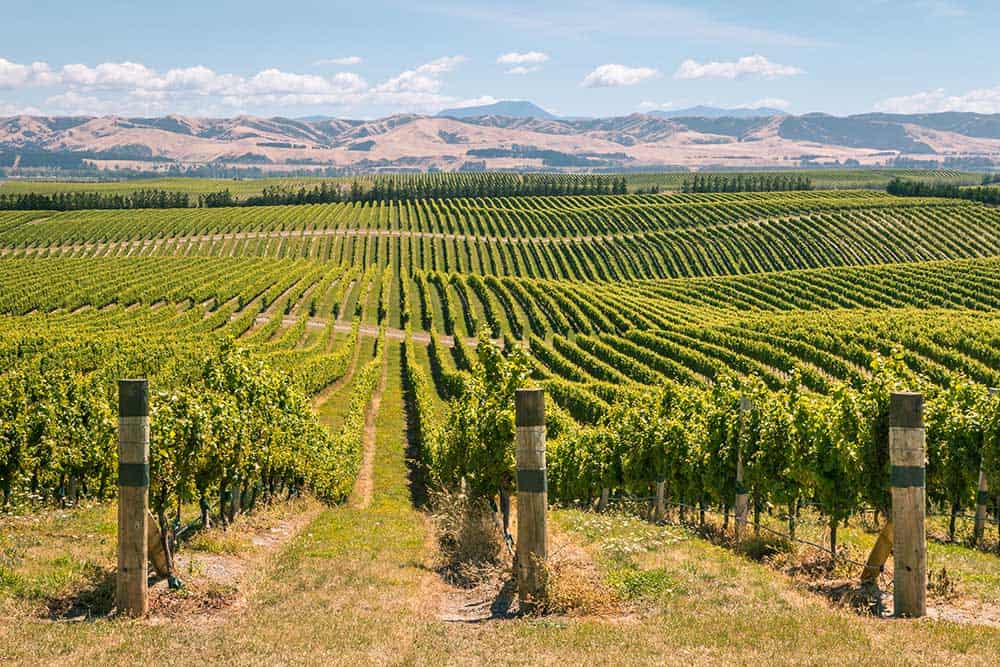 New Zealand's Food Wine Trail Selfdrive Tour Audley Travel US lupon