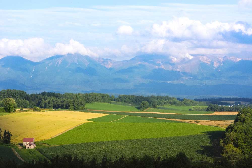 Best Time to Visit Hokkaido When to Go & Weather Guide for 2022