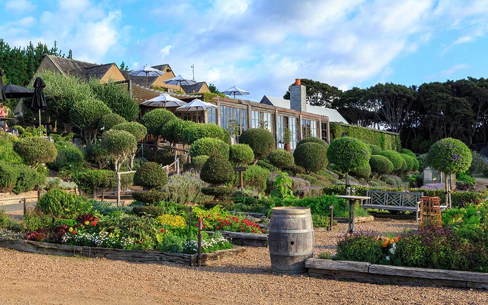 12 MustVisit Waiheke Island Wineries & Vineyards For Wine Lovers