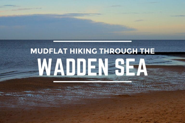Mudflat Hiking Through the Wadden Sea
