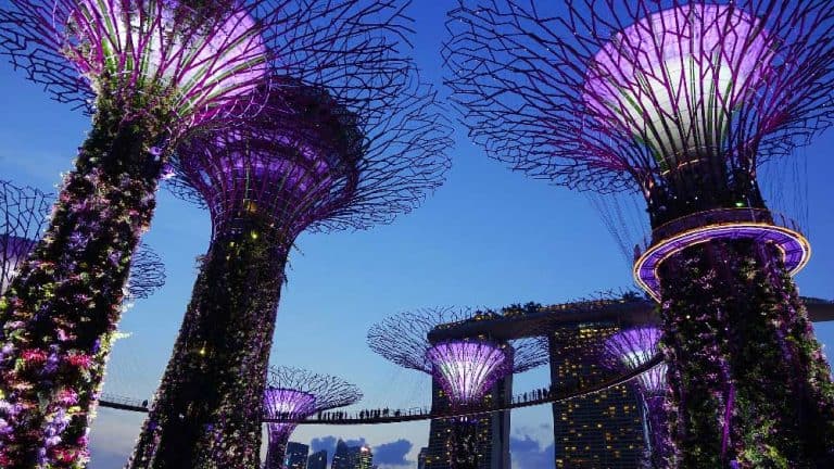Gardens By The Bay What To See Do In 2022 All You Need To Know