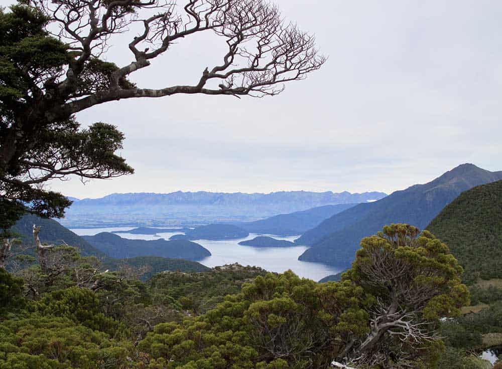Queenstown Hiking Guide The BEST Hikes & Walks for Your Adventure