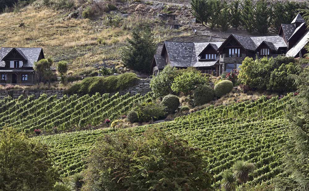 9 MustVisit Queenstown Wineries & Vineyards For Wine Lovers