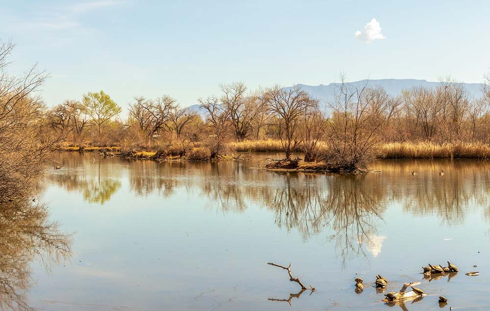 The 16+ BEST Things to Do in Albuquerque, New Mexico