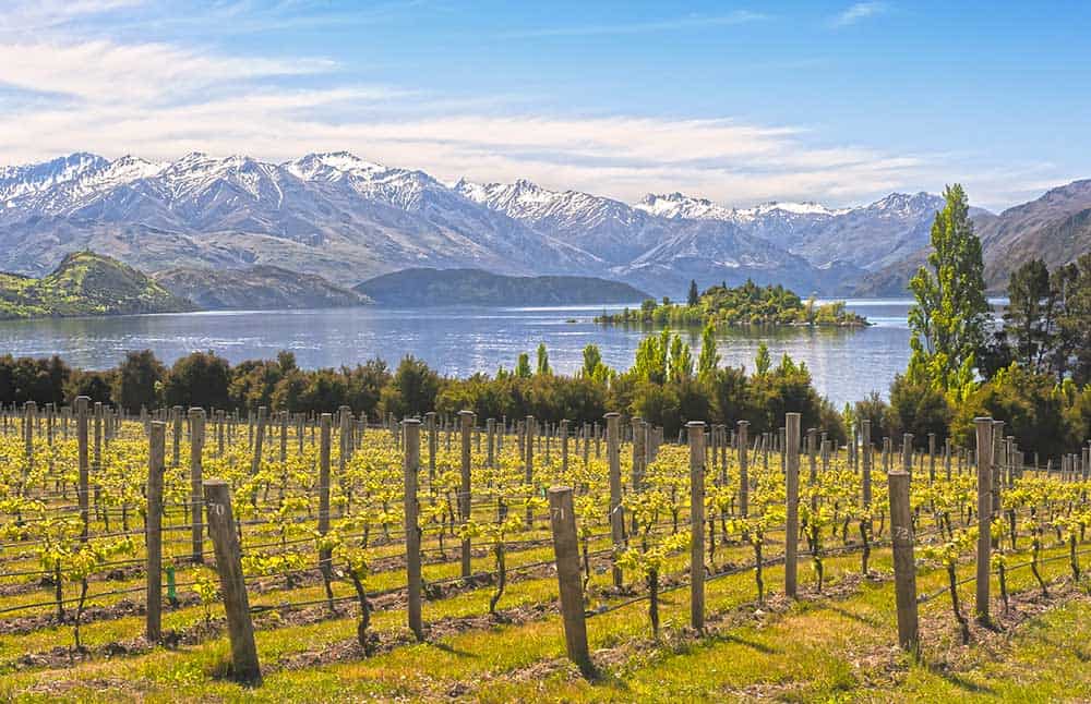 Rippon Winery