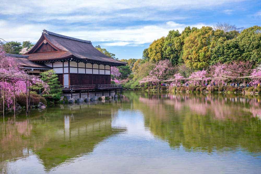 Sakura Heian Shrine Kyoto