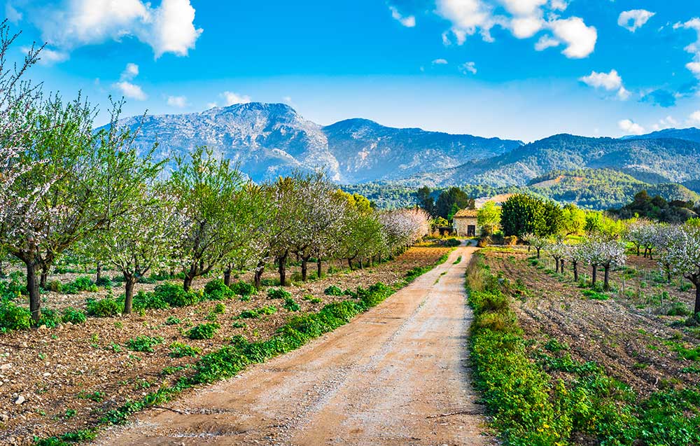 5 Indisputable Reasons Why You Need to Visit Spain in Spring 2022