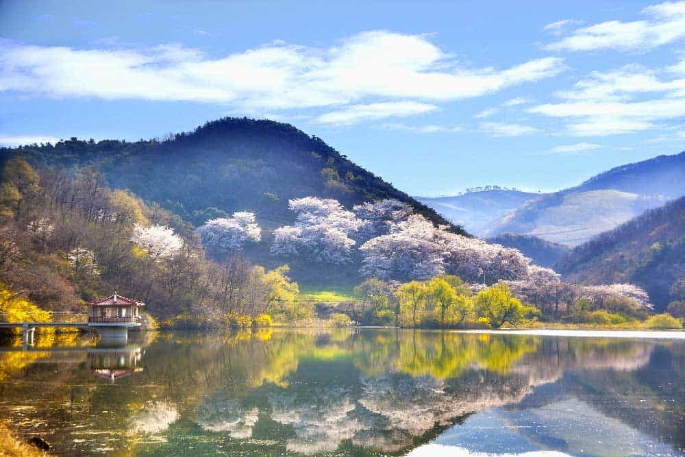 Mountain in Korea in Spring