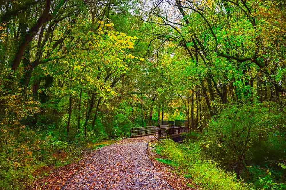 17 BEST Things to Do in Greenville - Swamp Rabbit Trail Greenville 