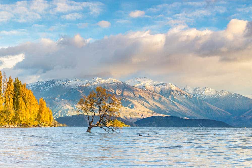 BEST Things to Do in Wanaka Top Attractions & Places to Visit in 2022