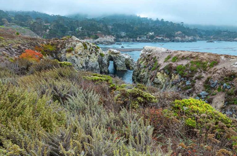 Things to Do in Carmel, CA