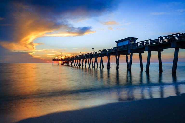 Things to Do in Venice, FL