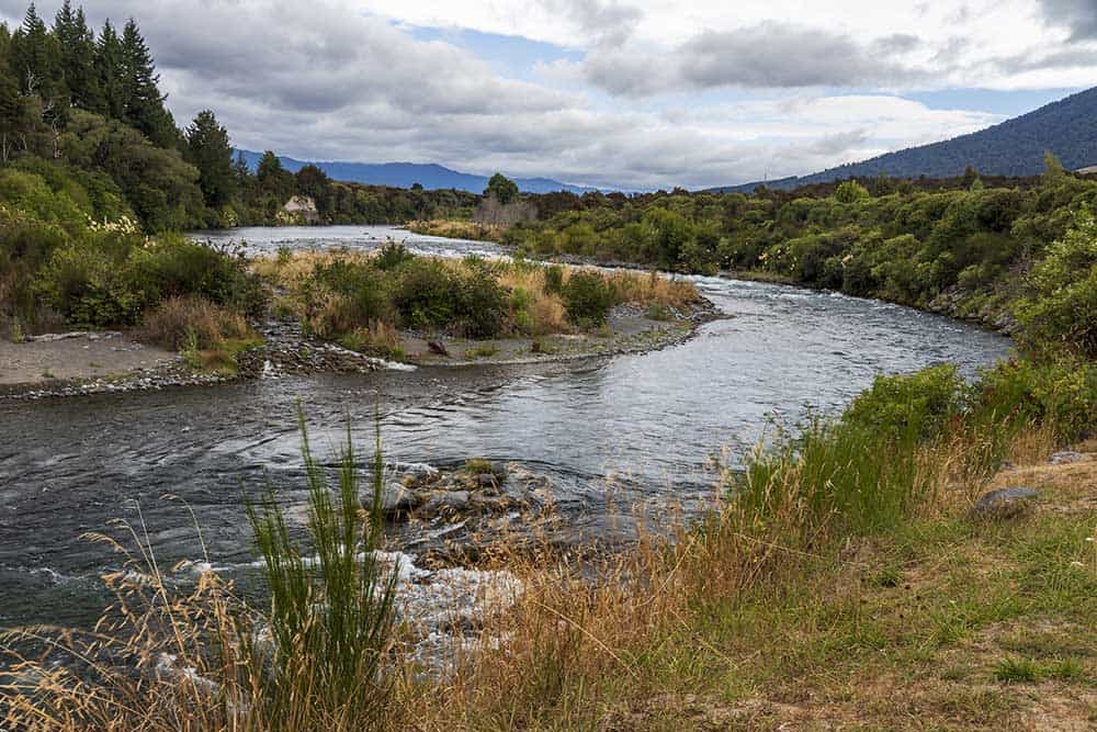 Tongariro River