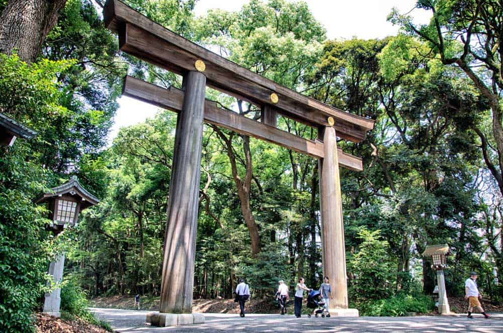 Entrance Torii at Meiji Shrine