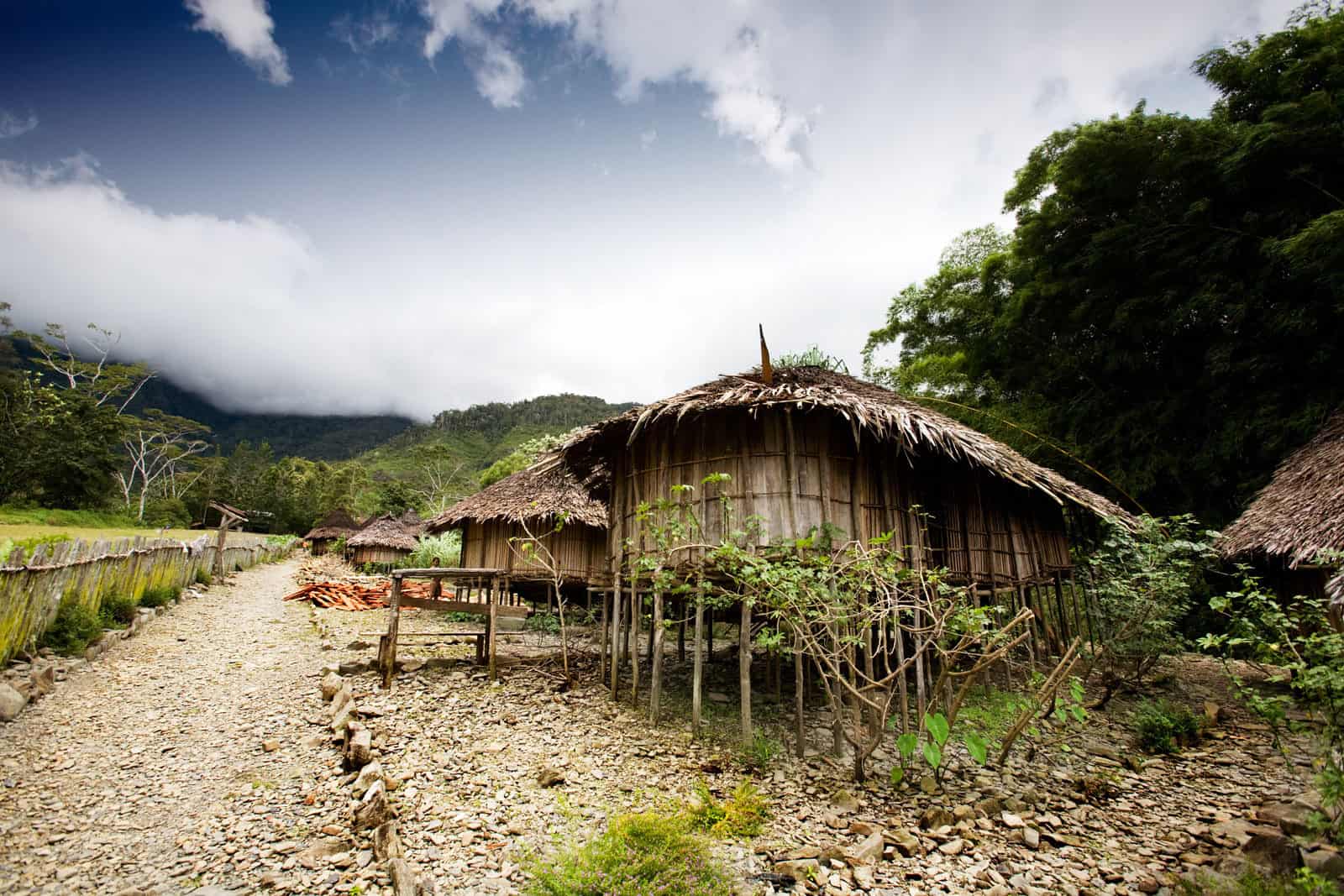 Traditional Hut in Papua New Guinea