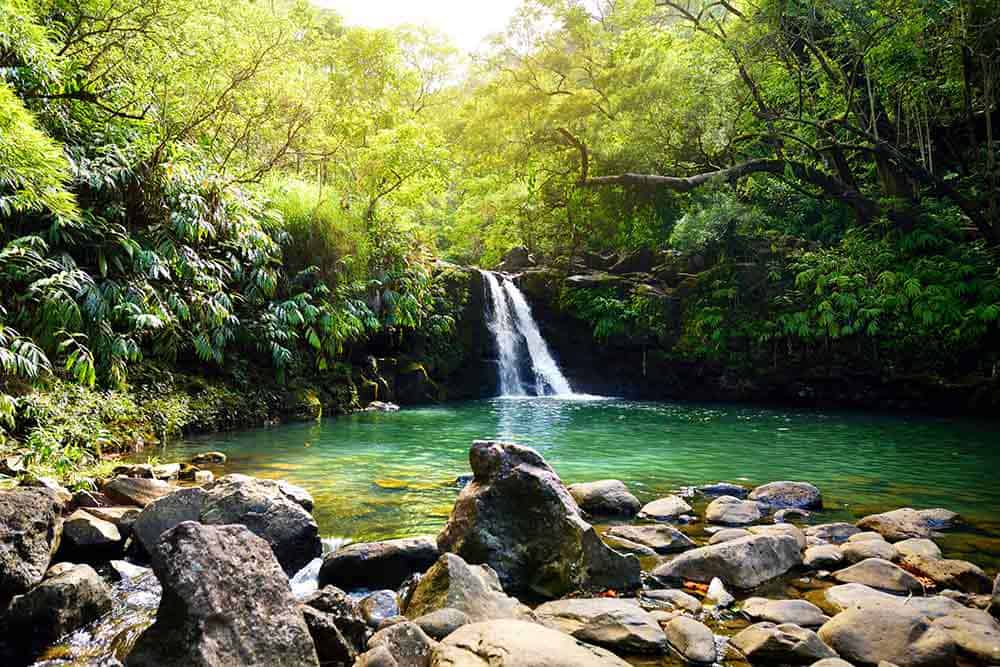 Waikamoi Falls